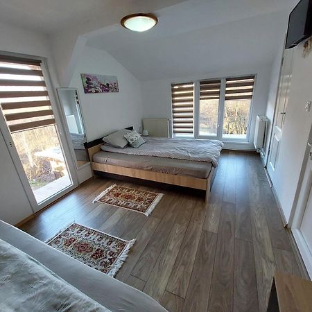 Cabana Casa Lu'Baciu Arpaşu de Sus Exteriér fotografie