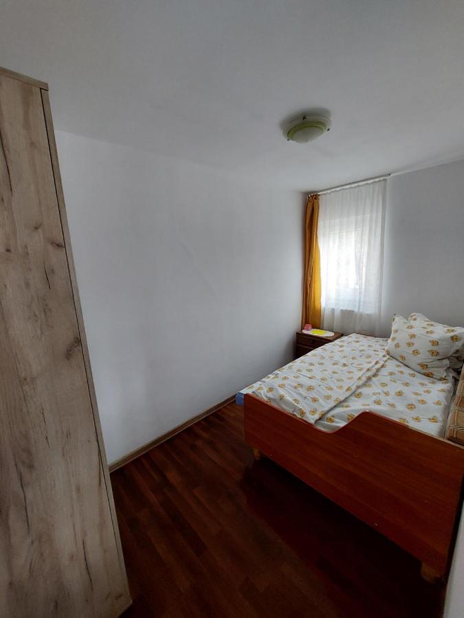 Cabana Casa Lu'Baciu Arpaşu de Sus Exteriér fotografie