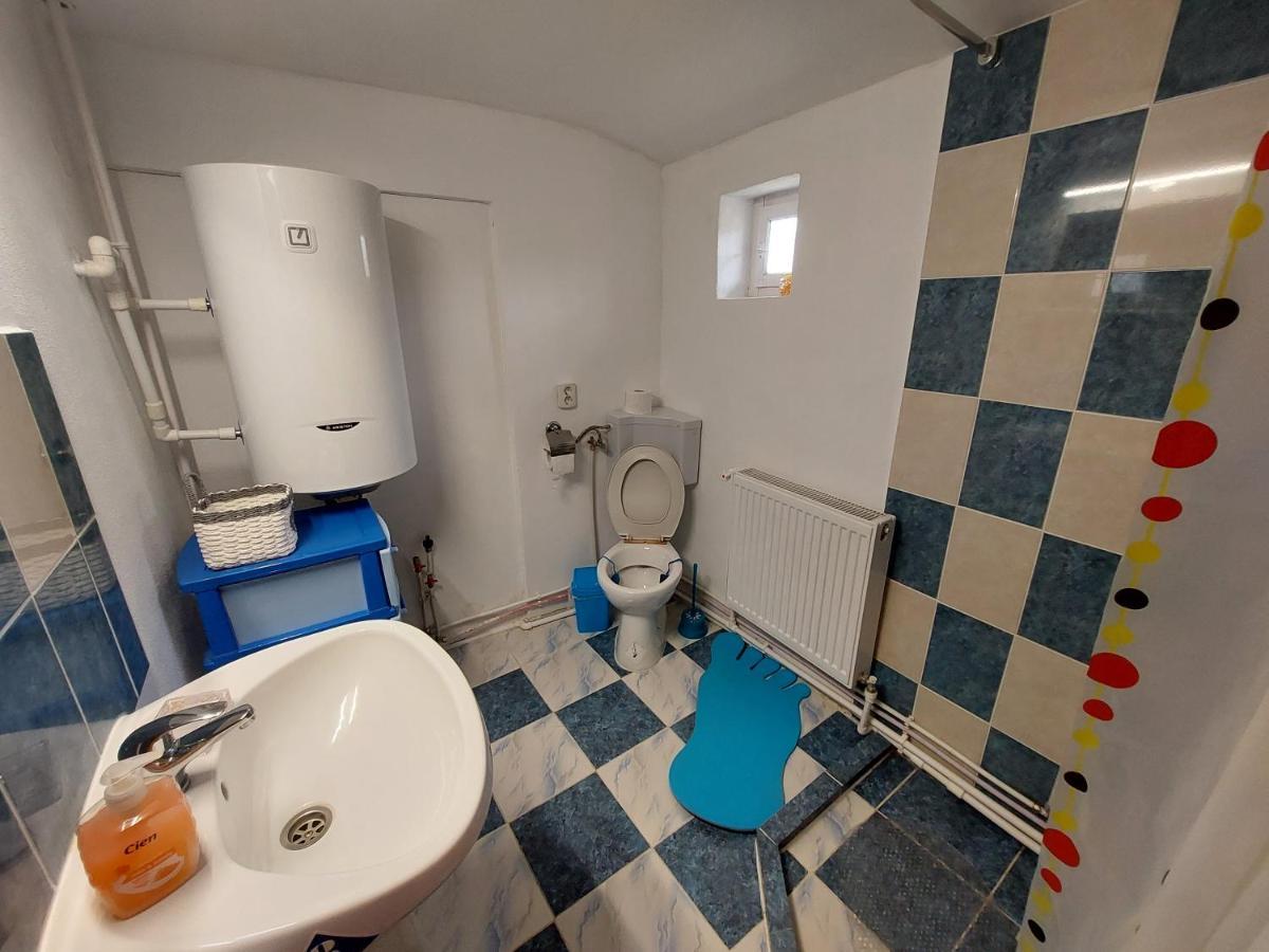 Cabana Casa Lu'Baciu Arpaşu de Sus Exteriér fotografie