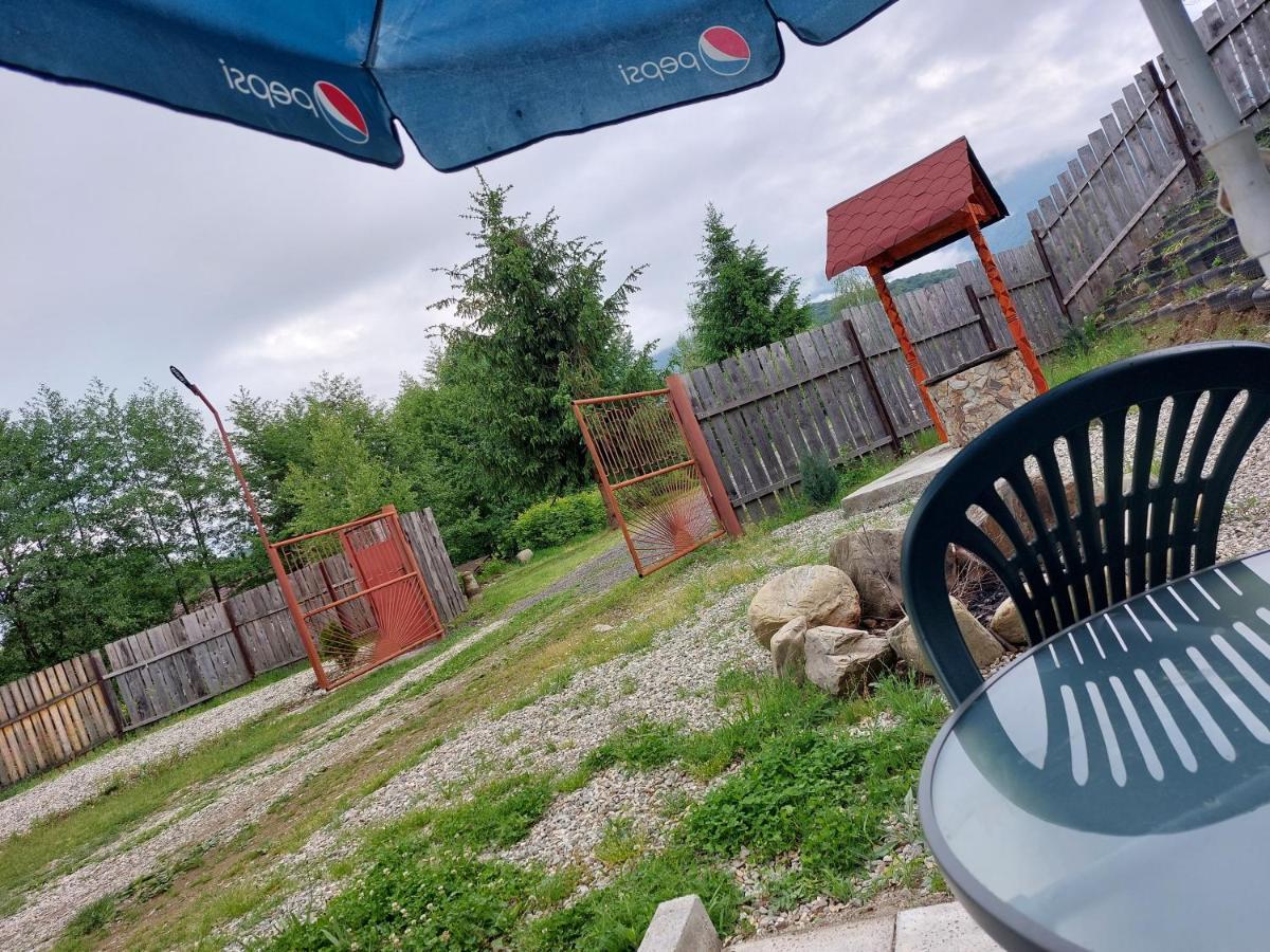 Cabana Casa Lu'Baciu Arpaşu de Sus Exteriér fotografie