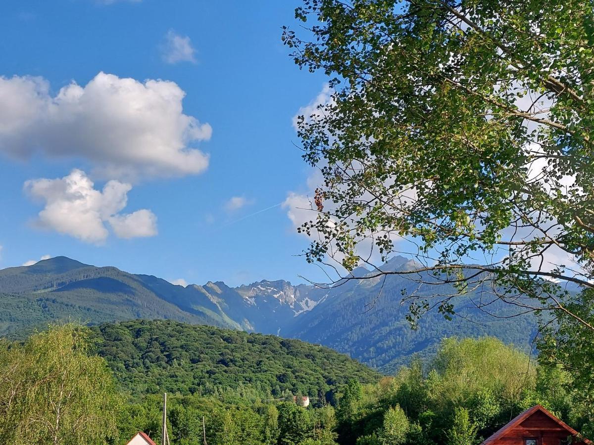 Cabana Casa Lu'Baciu Arpaşu de Sus Exteriér fotografie