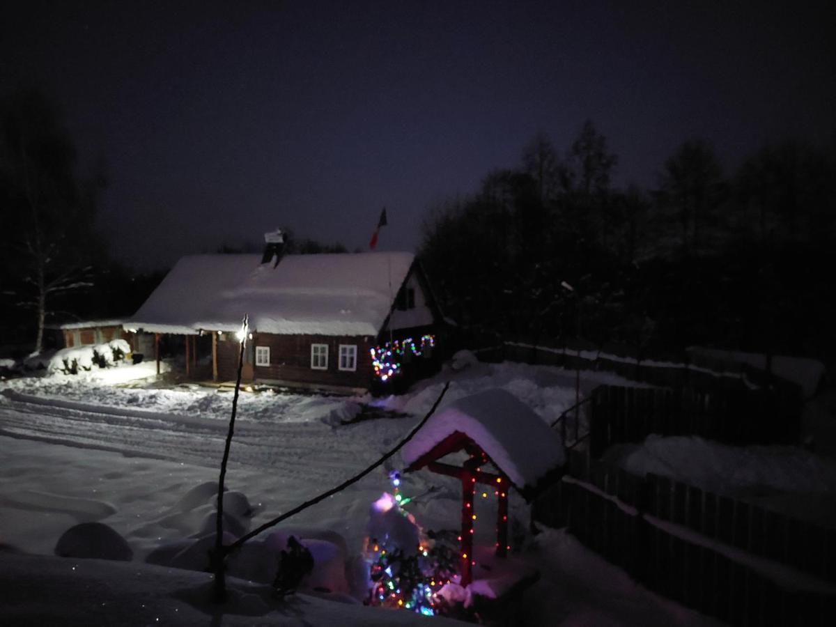 Cabana Casa Lu'Baciu Arpaşu de Sus Exteriér fotografie