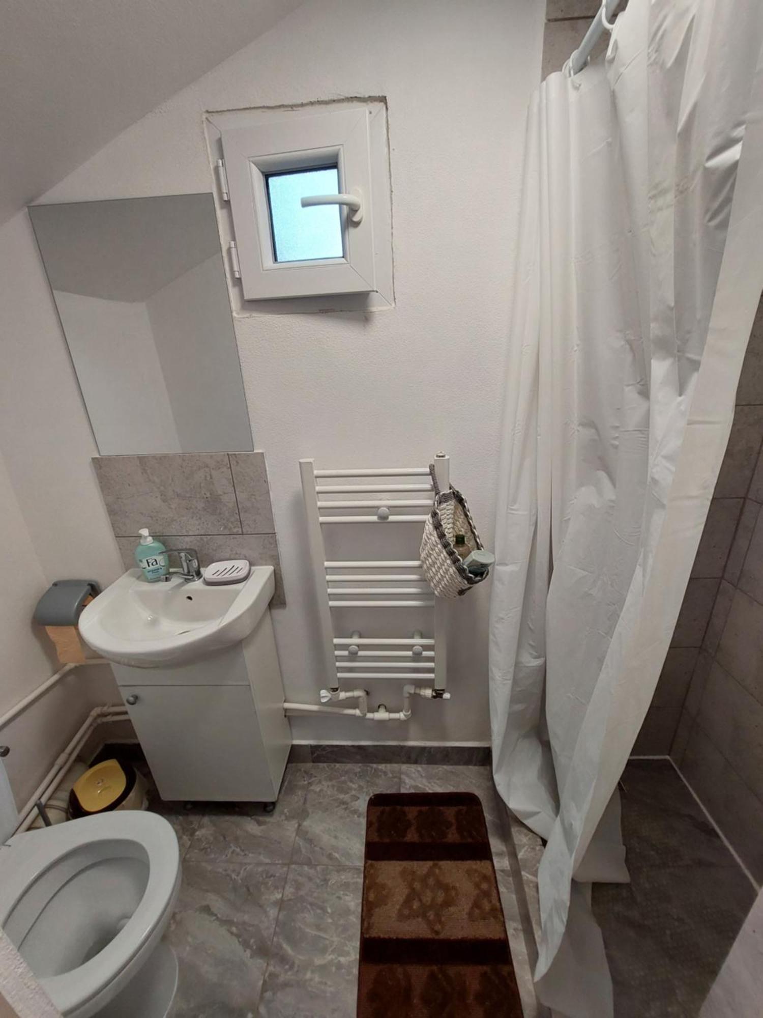 Cabana Casa Lu'Baciu Arpaşu de Sus Exteriér fotografie